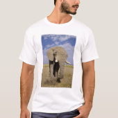 Kenia: Amboseli National Park, Elefantenmännchen T-Shirt (Vorderseite)