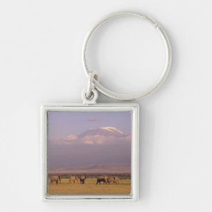 Kenia: Amboseli-Nationalpark, Elefanten Schlüsselanhänger