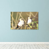 Kenia, das Nationalreservat Samburu Leinwanddruck (Insitu (Holzboden))