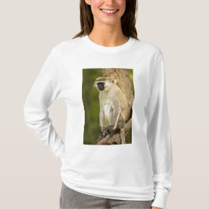 Kenia, Lake Nakuru National Park. Vervet T-Shirt