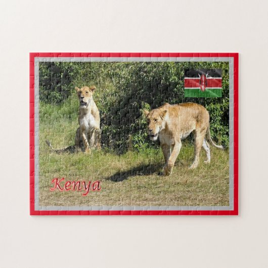 Kenia - Lionessen - Puzzle (Horizontal)