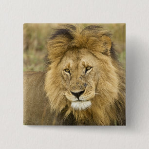 Kenia Masai Mara Button