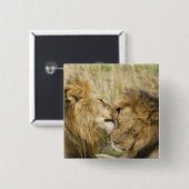 Kenia, Masai Mara Button (Vorne & Hinten)