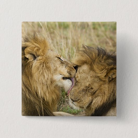 Kenia, Masai Mara Button (Vorderseite)