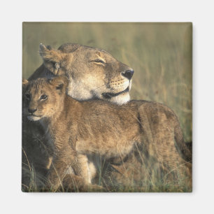 Kenia, Masai Mara Game Reserve, Löwin Magnet