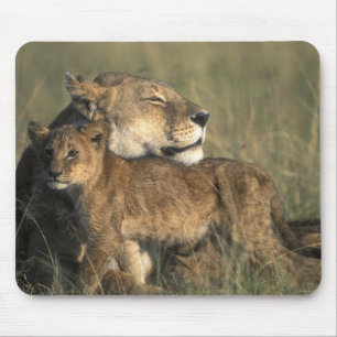 Kenia, Masai Mara Game Reserve, Löwin Mousepad