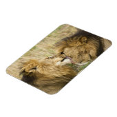 Kenia, Masai Mara Magnet (Linke Seite)