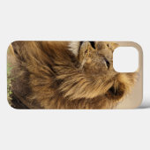 Kenia, Masai Mara | Male Lion Case-Mate iPhone Hülle (Rückseite (Horizontal))