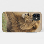 Kenia, Masai Mara | Male Lion Case-Mate iPhone Hülle (Rückseite (Horizontal))