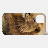 Kenia, Masai Mara | Male Lion Case-Mate iPhone Hülle (Rückseite (Horizontal))