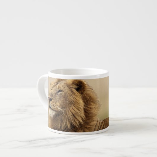 Kenia, Masai Mara | Male Lion Espressotasse (Vorderseite Links)