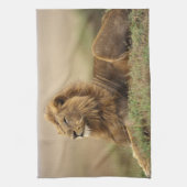 Kenia, Masai Mara | Male Lion Handtuch (Vertikal)