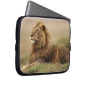 Kenia, Masai Mara | Male Lion Laptopschutzhülle (Vorne Rechts)