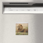 Kenia, Masai Mara | Male Lion Magnet (In Situ (Geschirrspüler))
