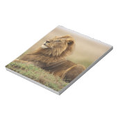 Kenia, Masai Mara | Male Lion Notizblock (Rotiert)