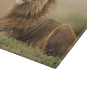 Kenia, Masai Mara | Male Lion Schneidebrett (Ecke)