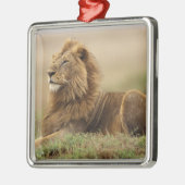 Kenia, Masai Mara | Male Lion Silbernes Ornament (Links)