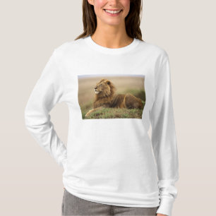 Kenia, Masai Mara   Male Lion T-Shirt