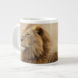 Kenia, Masai Mara   männlicher Löwe Jumbo-Tasse
