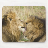 Kenia, Masai Mara Mousepad (Vorne)