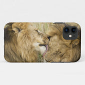 Kenia, Masai Mara. Nahaufnahme von einem Case-Mate iPhone Hülle (Rückseite (Horizontal))