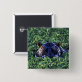Kenia, Masai Mara National Reserve. Button (Vorne & Hinten)