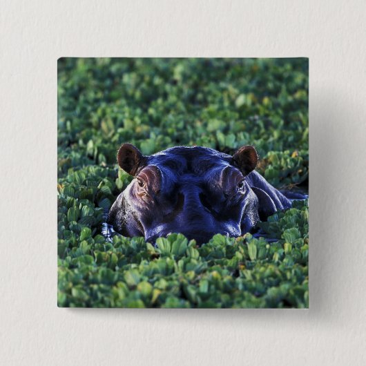 Kenia, Masai Mara National Reserve. Button (Vorderseite)