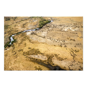 Kenia: Masai Mara National Reserve, Mara Fotodruck