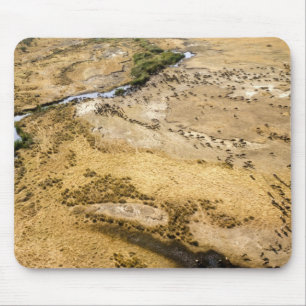 Kenia: Masai Mara Nationalreservat, Mara Mousepad