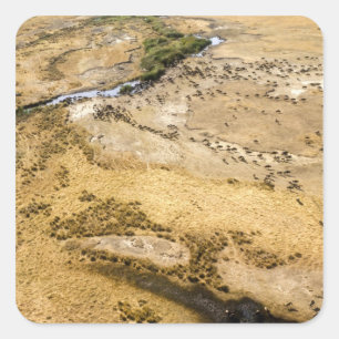 Kenia: Masai Mara Nationalreservat, Mara Quadratischer Aufkleber