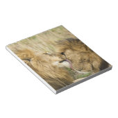 Kenia, Masai Mara Notizblock (angewinkelt)