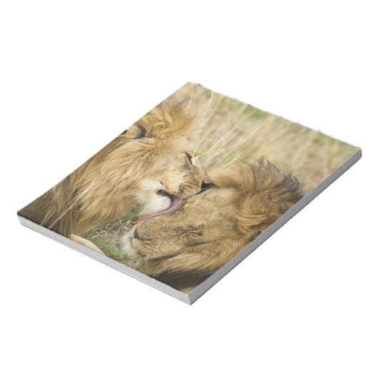 Kenia, Masai Mara Notizblock (Rotiert)