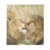 Kenia, Masai Mara Notizblock (Vorderseite)