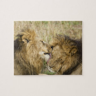Kenia, Masai Mara Puzzle