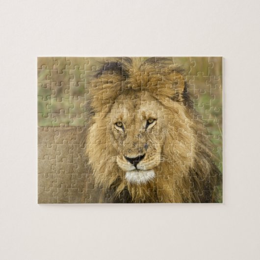 Kenia Masai Mara Puzzle (Horizontal)