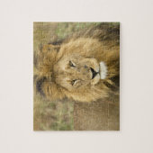 Kenia Masai Mara Puzzle (Vertikal)