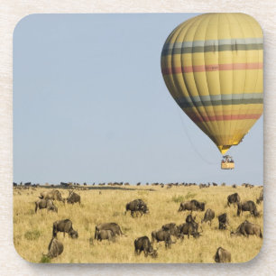Kenia, Masai Mara. Touristen fahren Heißluftballo Untersetzer