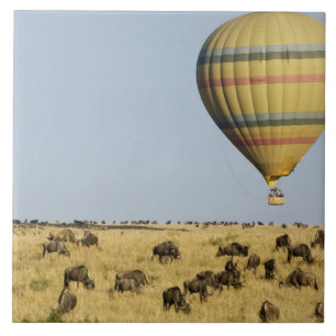 Kenia, Masai Mara. Touristen fahren Heißluftballon Fliese