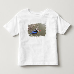 Kenia. Nahaufnahme des Graukopfliest Kleinkind T-shirt