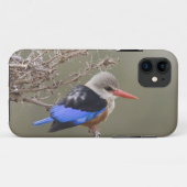 Kenia. Naher Graukopfenfischer Case-Mate iPhone Hülle (Rückseite (Horizontal))