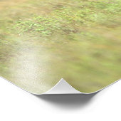 Kenia, Nairobi Nationalpark. Rhinoceros Fotodruck (Ecke)