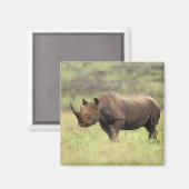 Kenia, Nairobi Nationalpark. Rhinoceros Magnet (Vorderseite/Rückseite)
