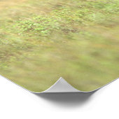 Kenia, Nairobi Nationalpark. Rhinoceros Poster (Ecke)