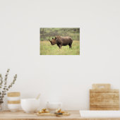 Kenia, Nairobi Nationalpark. Rhinoceros Poster (Küche)