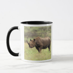 Kenia, Nairobi Nationalpark. Rhinoceros Tasse