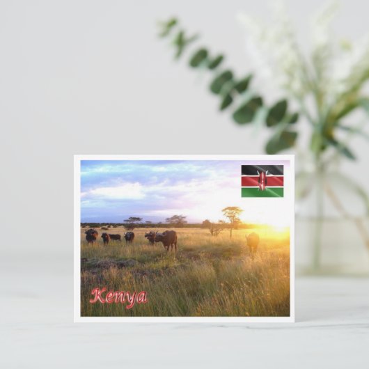 Kenia - Panorama - Postkarte (Stehend Vorderseite)