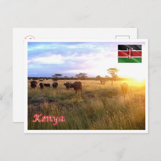 Kenia - Panorama - Postkarte (Vorne/Hinten)