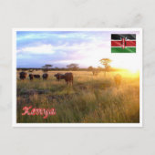 Kenia - Panorama - Postkarte (Vorderseite)