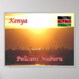 Kenia - Pelicans Nakuru - Poster