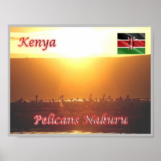 Kenia - Pelicans Nakuru - Poster (Vorne)
